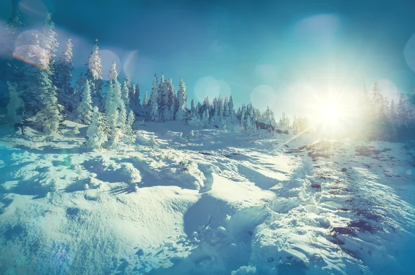 Winterszene — Stockfoto