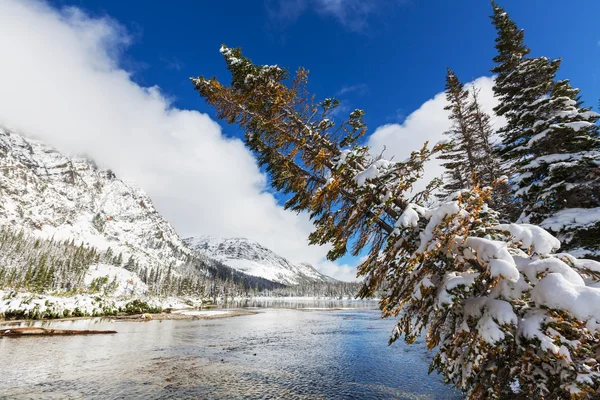 Parque Glaciar — Foto de Stock