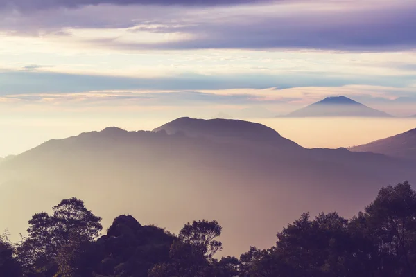 Java landschappen — Stockfoto