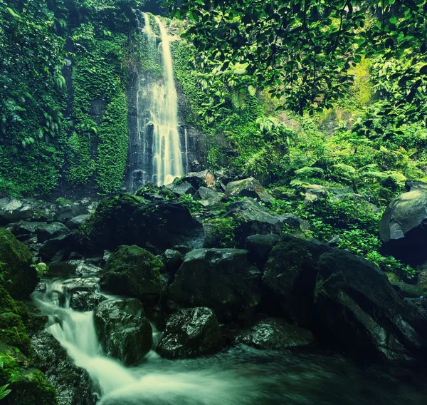 Cachoeira na indonésia — Fotografia de Stock