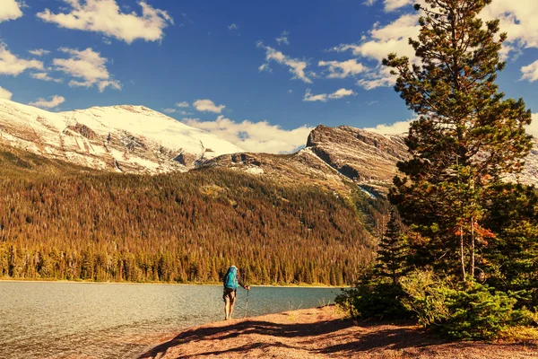 Caminata en Glaciar — Foto de Stock