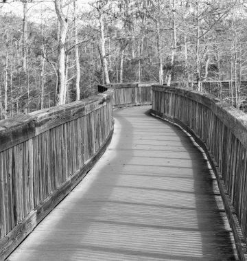 Boardwalk bataklık