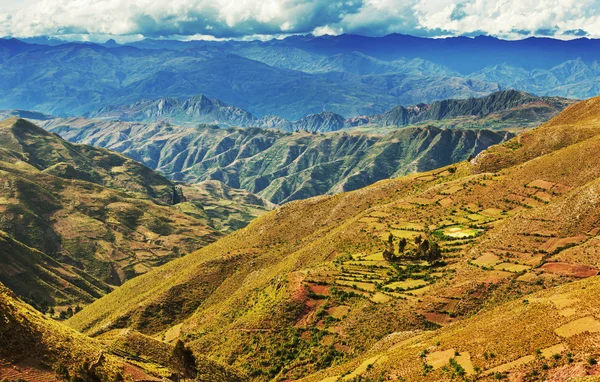 Fields in Bolivia — Stock Photo, Image