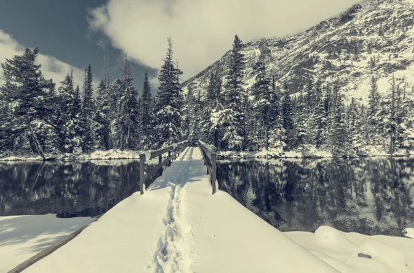 Parco dei ghiacciai in inverno — Foto Stock