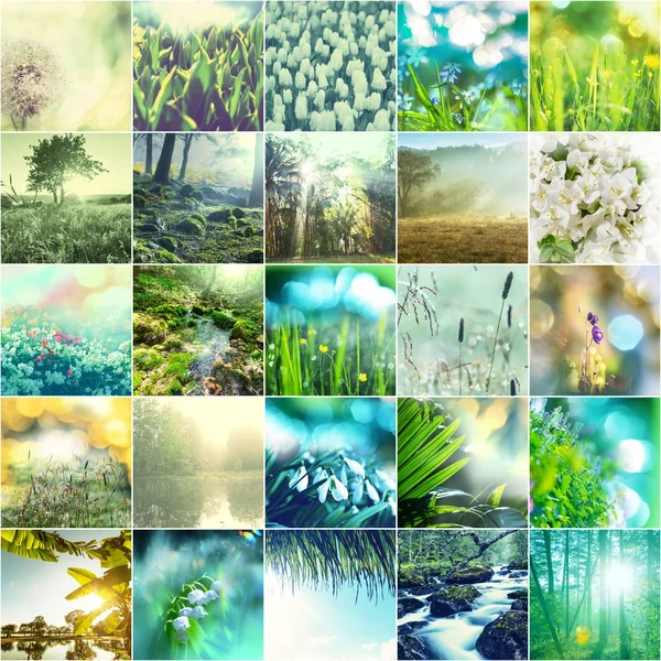 Collage verde — Foto Stock