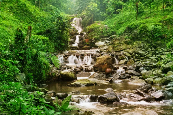 Водопад Индонезии — стоковое фото