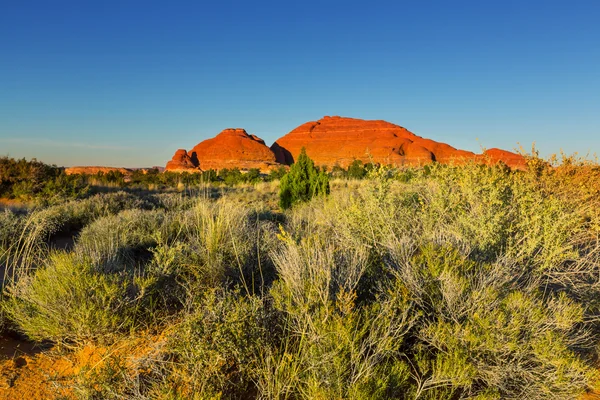 American prairie — Stock Photo, Image