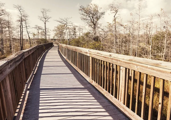 Promenade in moeras — Stockfoto