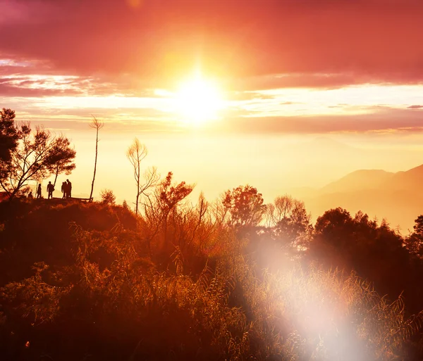 Java landschappen — Stockfoto