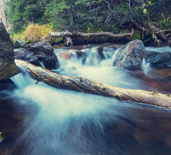 Riacho em montanhas — Fotografia de Stock