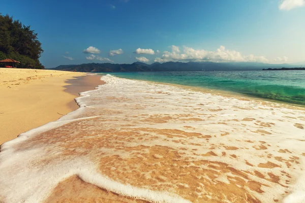 Gili plaży — Zdjęcie stockowe