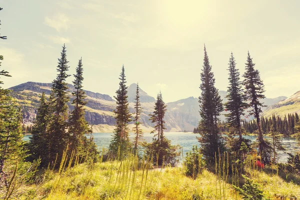 Glacier Park — Stockfoto