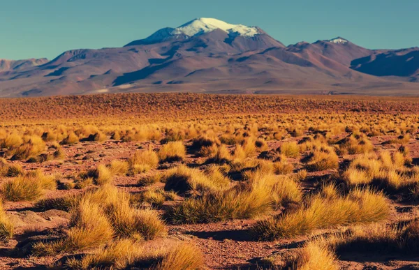 Montagnes en la Bolivie — Photo