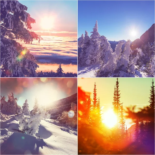 Talvikollaasi — kuvapankkivalokuva