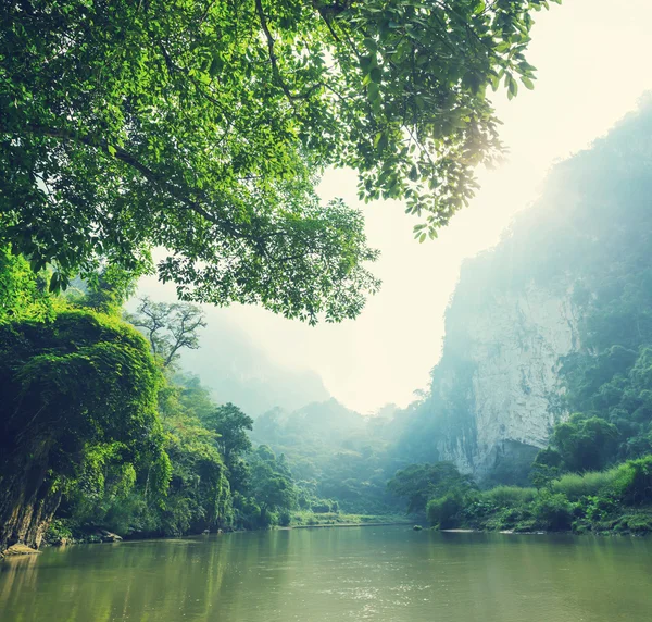 Lago bebé — Fotografia de Stock