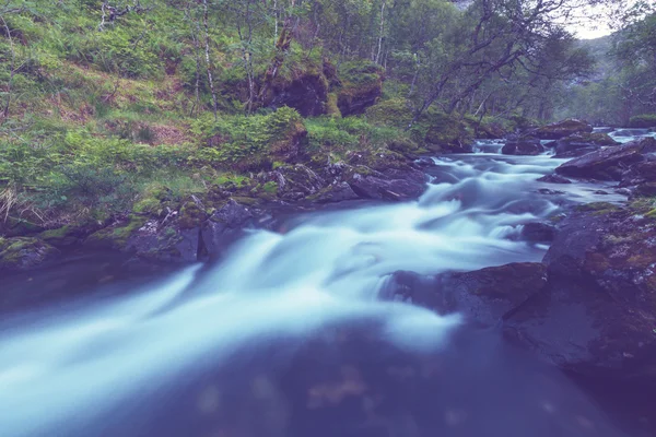 Creek w górach — Zdjęcie stockowe