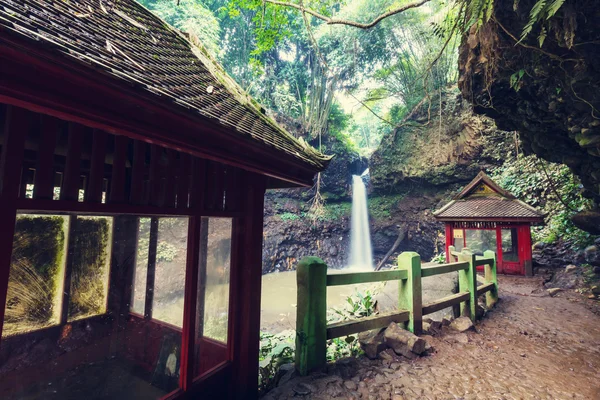 Cachoeira na indonésia — Fotografia de Stock