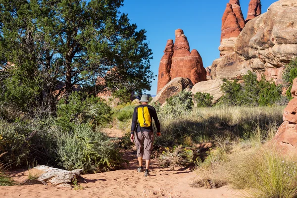 Canyonlands 공원에서 남자 — 스톡 사진