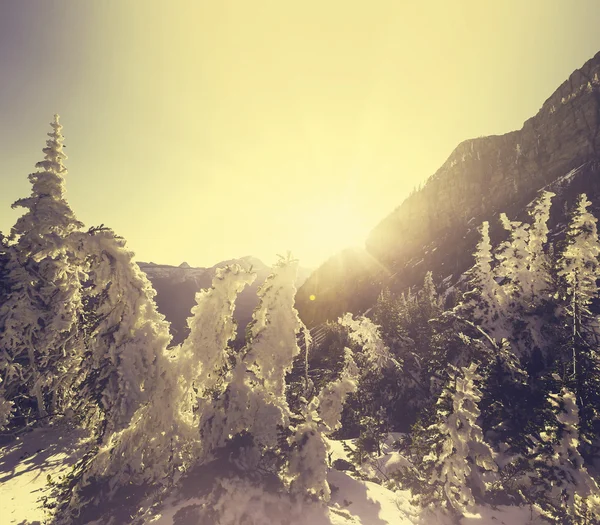 Winter in mountains — Stock Photo, Image