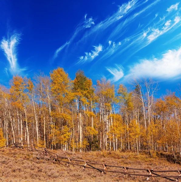 Herfst scène — Stockfoto