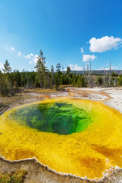 Morning glory pool — Stockfoto