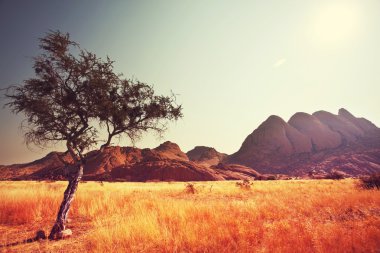 Afrika manzaraları