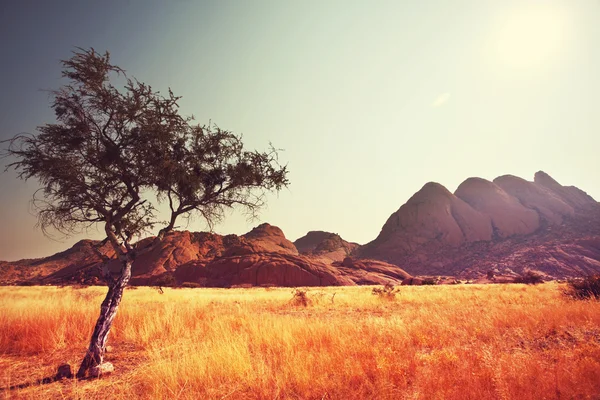 Afrikaanse landschappen — Stockfoto