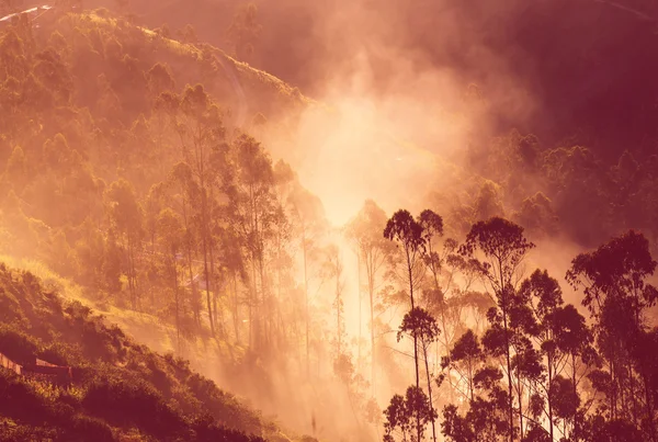Dağlarda sis — Stok fotoğraf