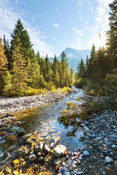 Glacier Park — Stockfoto