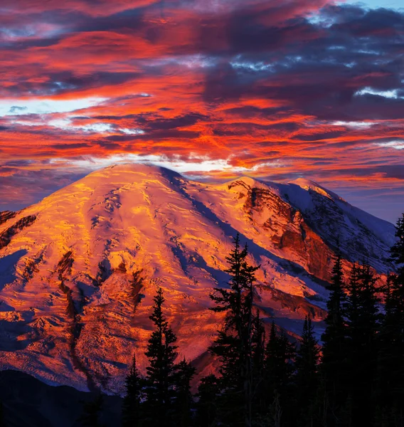 Monte Rainier. — Foto de Stock