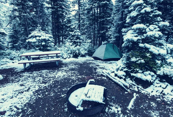 Tent in forest — Stock Photo, Image