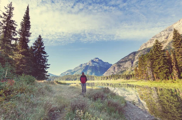 Hike in Glacier — Stock Photo, Image