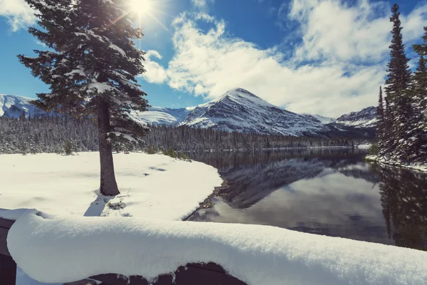 Glacier Park in winter — Stock Photo, Image