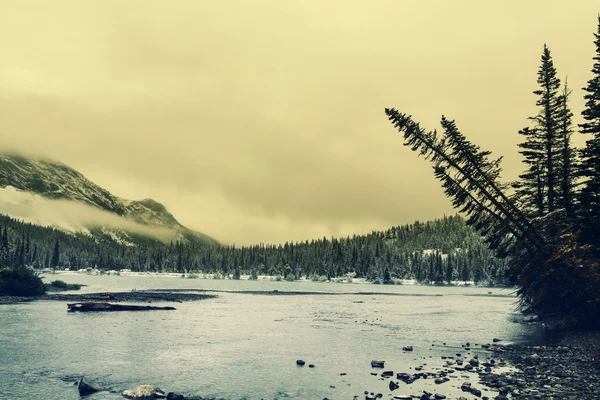 Glacier Park in winter — Stock Photo, Image