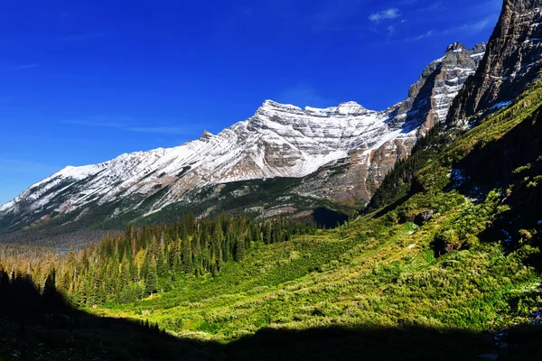 Buzul Parkı — Stok fotoğraf