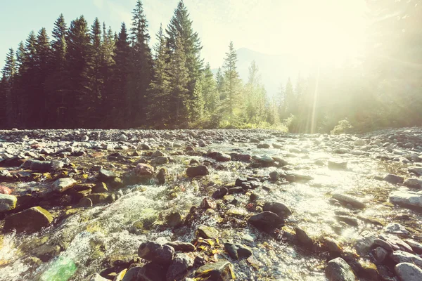 Grand Teton. —  Fotos de Stock