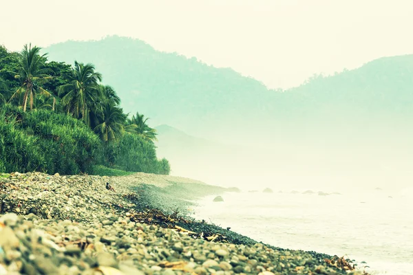 Playa tropical — Foto de Stock