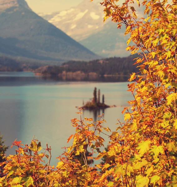 Autunno nel ghiacciaio — Foto Stock