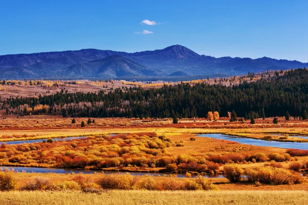 Grand Teton — Zdjęcie stockowe