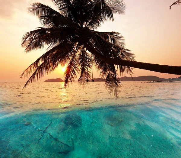 Tropical beach — Stock Photo, Image