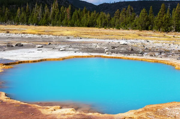 Yellowstone park — Stock Fotó