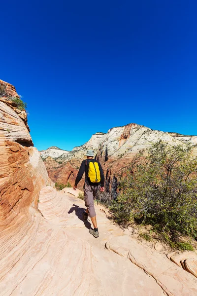 Wanderung in Zion — Stockfoto