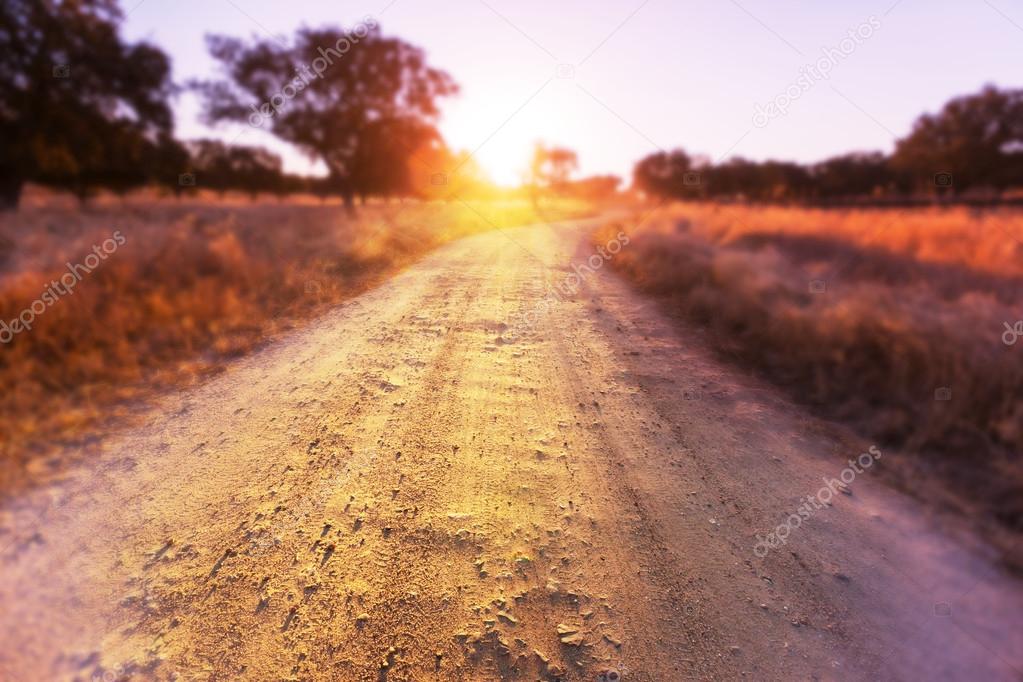 Road in field