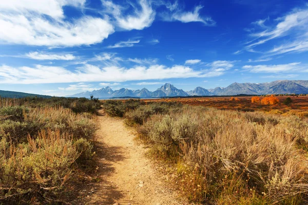 Herfst in Grand Teton — Stockfoto