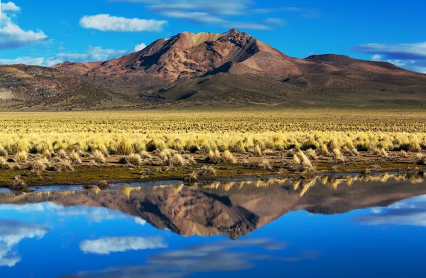 Bjerge i Bolivia - Stock-foto