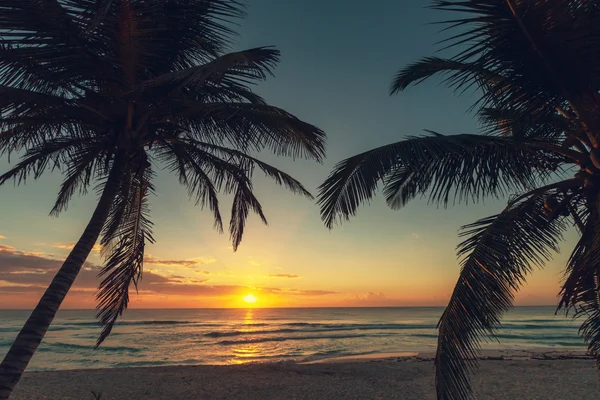 Tropischer Strand — Stockfoto