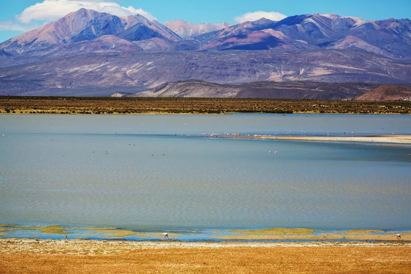 Pegunungan di Bolivia — Stok Foto