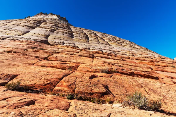 Zion Park — Stockfoto