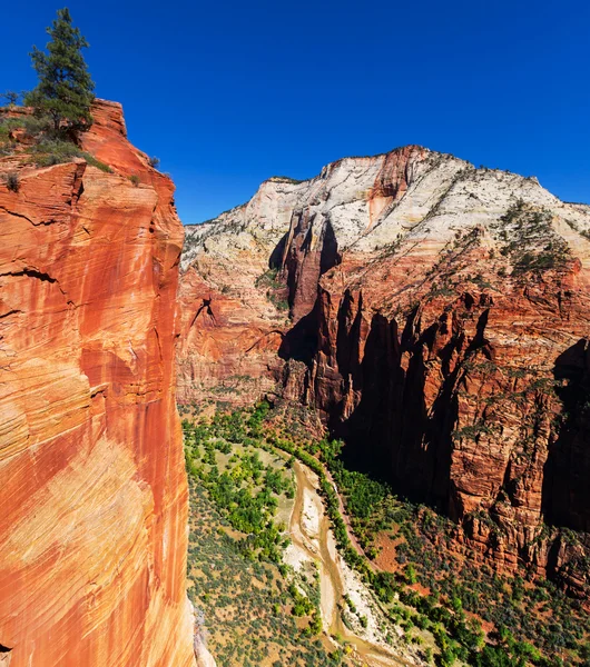 Zion park — Zdjęcie stockowe