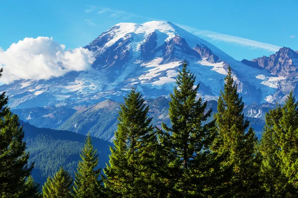 Mount Rainier — Stok fotoğraf